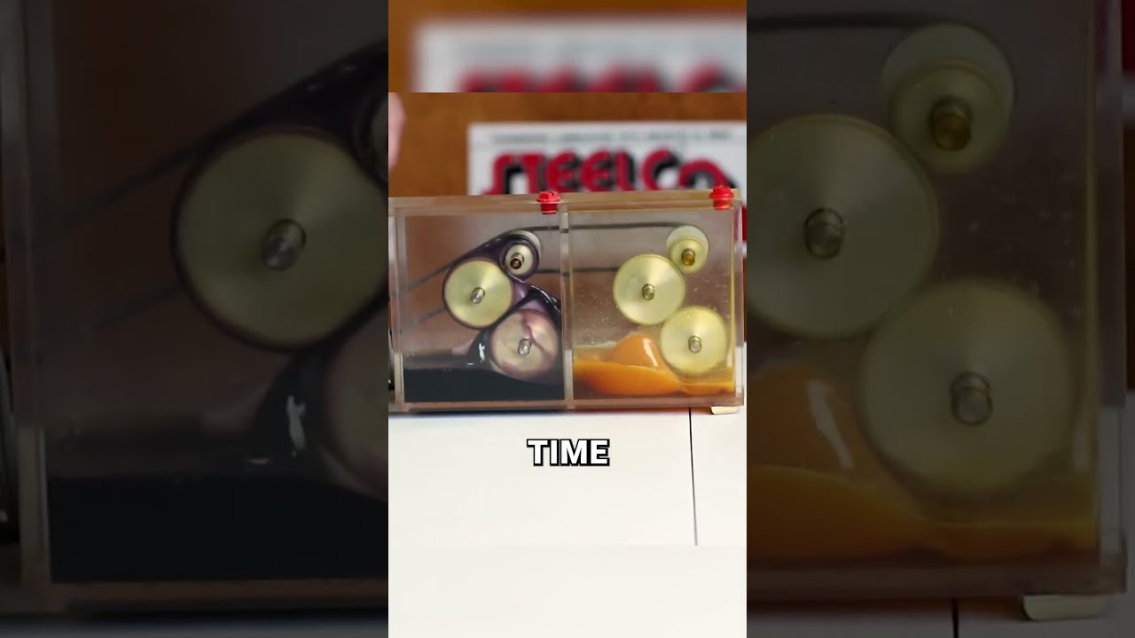 Cheap Vs Expensive Engine Oil Why Could Destroy Your Car 