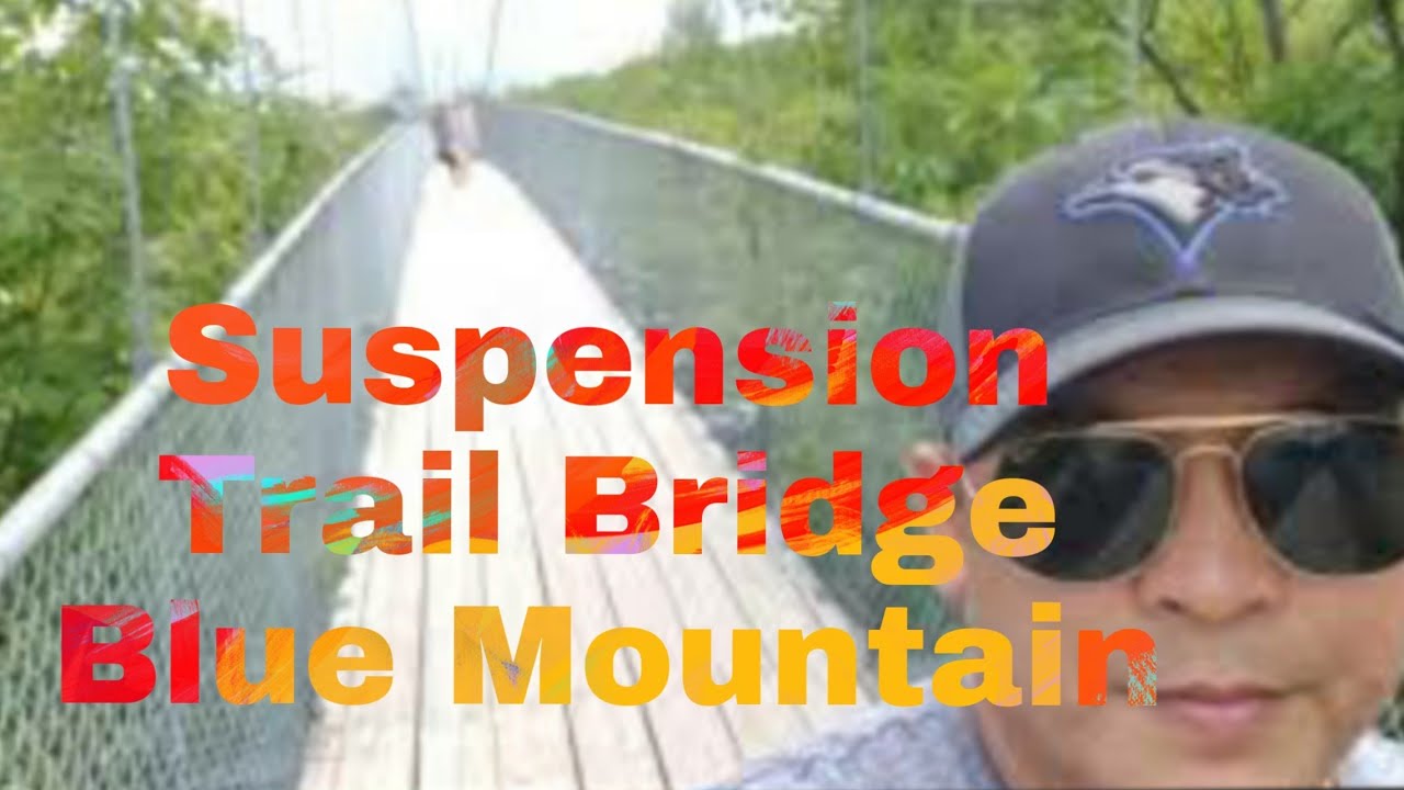 Suspension Bridge Blue Mountain/OslocVlog Aug.23,2020 YouTube