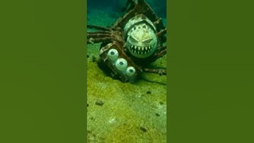 I Caught A Choo Choo Charles In Real Life Underwater! He