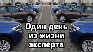 Будни подборщика. Mercedes Benz Ssang Yong Peugeot Audi