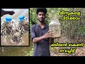 Village River Fishing|Bottle Fish Trape Making Malayalam|Village Fishing