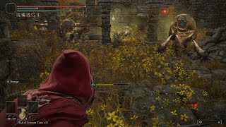 Fast and easy arteria leaf farm Elden Ring