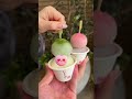 日本のアイスクリームを選ぶ