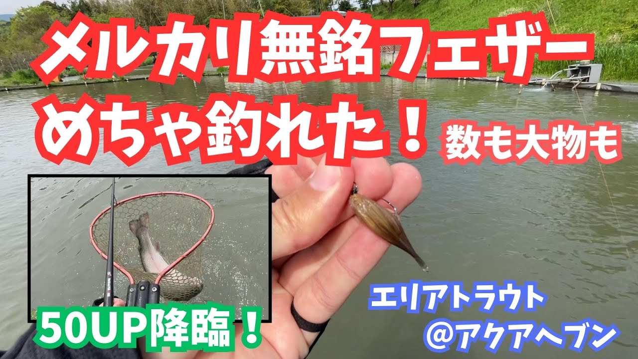 【エリアトラウト】メルカリで買った無銘フェザーが釣れすぎた！【アクアヘブン】