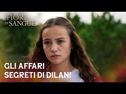 Dilan È Entrata Di Nascosto Nella Stanza Di Baran! | Sottotitolato in italiano | Kan Cicekleri