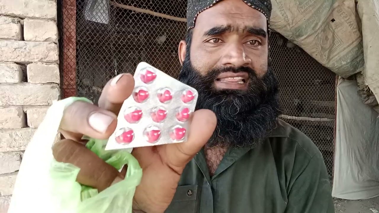 Motival tablet kabotar Bazi mi sham tak parwaz 💯 sham tak kabutar ko parvaaj Lene Ki medicine