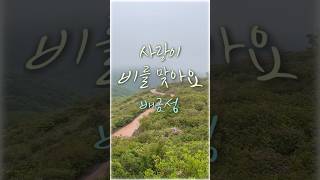 사랑이 비를맞아요💛배금성#황매산자락#소소한풍경#힐링#감성트로트#shorts