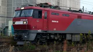 東北本線貨物列車8054レ＿行合街道踏切付近を走行＿2022年11月撮影