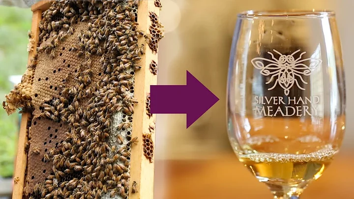 This Honey Wine Is Made From Bees In Williamsburg,...