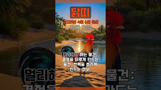 [2025년 4월 6일 닭띠 오늘의운세] 두 명 중에 한 명을 선택해야 하는 순간이다. #닭띠 #운세 #오늘…