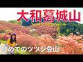 【奈良県/大阪府】大和葛城山✨2026年5月10日✨北尾根コースで登って櫛羅の滝コースで下山✨めっちゃ綺麗でした🌺