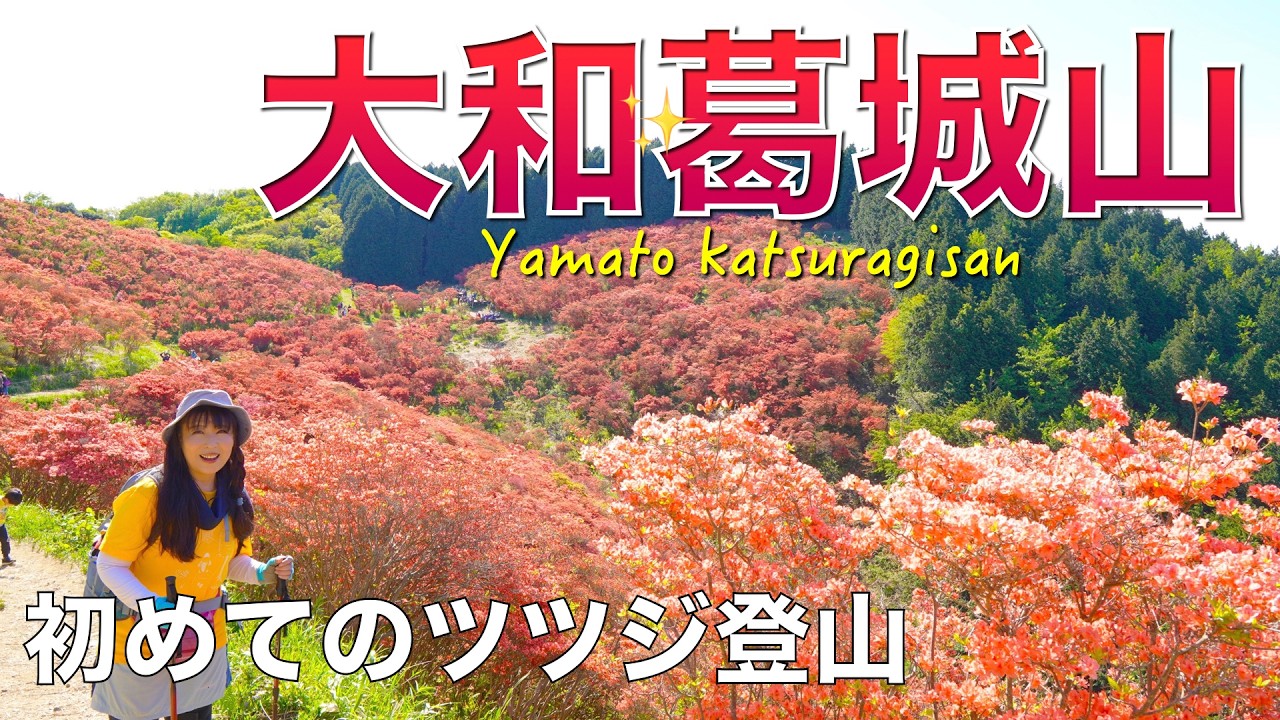 【奈良県/大阪府】大和葛城山✨2026年5月10日✨北尾根コースで登って櫛羅の滝コースで下山✨めっちゃ綺麗でした🌺