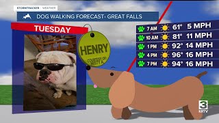 Dog-walking forecast (July 8, 2025)