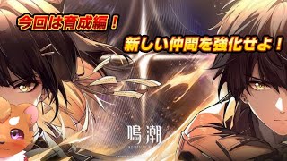 【鳴潮】#9　お久しぶり！今回は育成！！いくぞーー