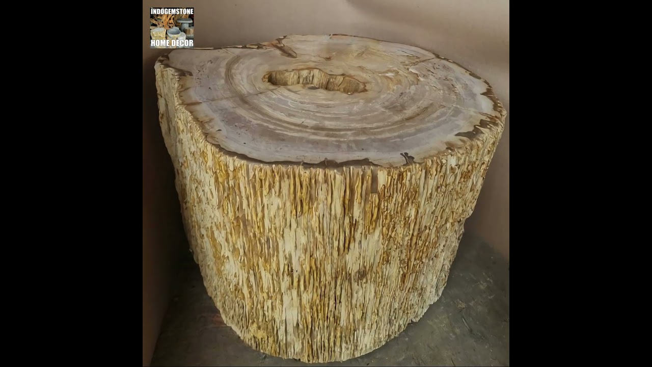Petrified Wood Stump Mixed Side Tables 
