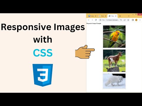 How to make responsive images | Html & Css - YouTube