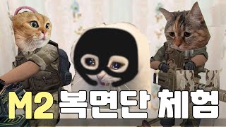 [카스온라인] M2, 로망에 관하여