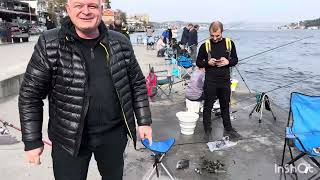 Rumeli Hisarı Yemli Karagöz Ve Izmarit Avı