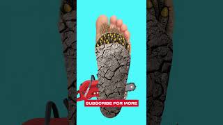 Foot Cleaning Asmr Animation