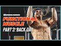 Functional muscle 3 lats  traps  back day work capacity