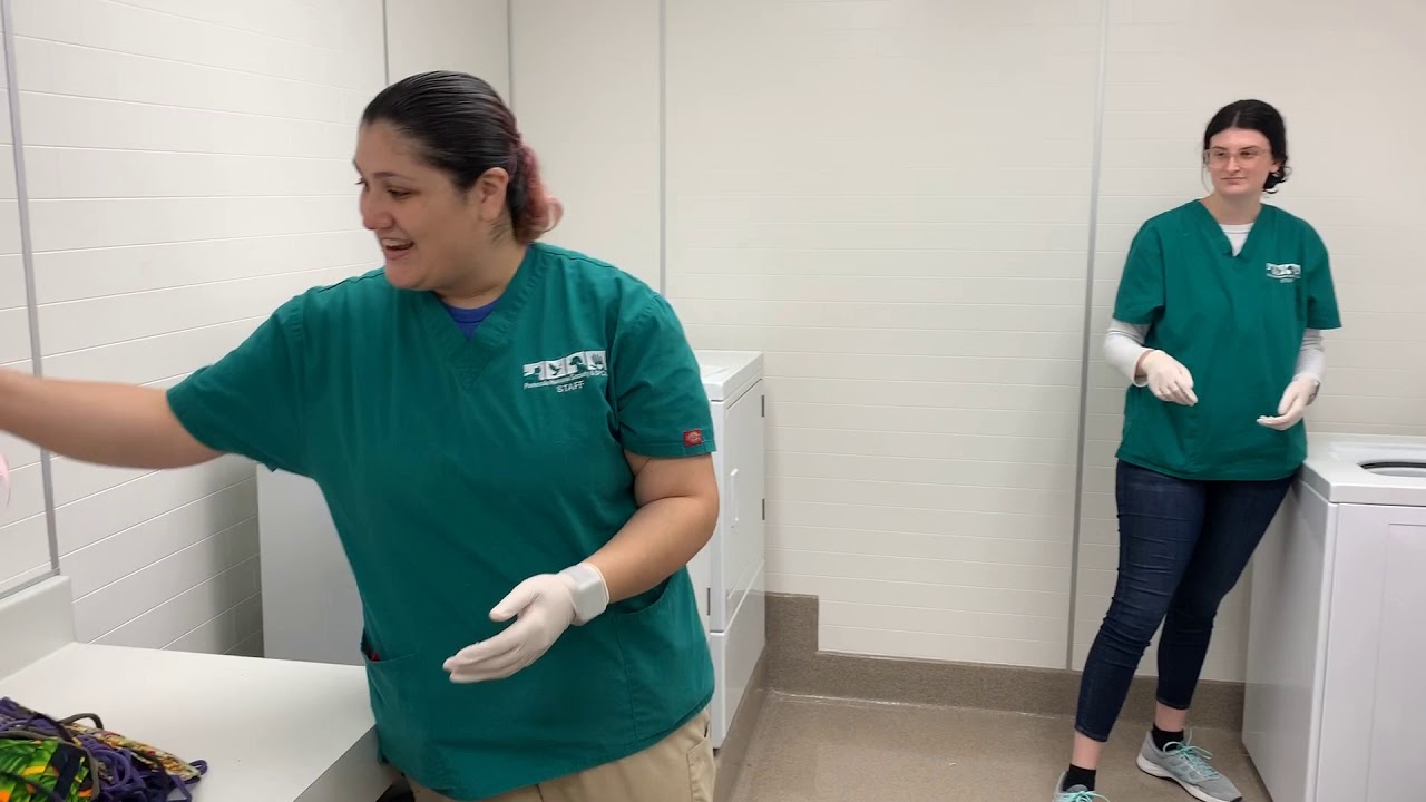 Thank you Peninsula Humane Society & SPCA volunteers!