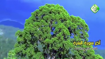 ماتيسر من سورتي البقرة و آل عمران | تلاوة عراقية أصيلة | القارئ عقيل عبدالرضا