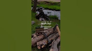قرآن كريم حالات واتس اب - بصوت القارئ محمد صديق المنشاوي 🎙