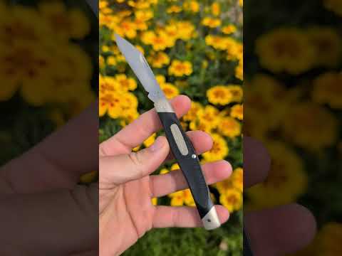 The Discontinued Buck Knife Everyone Forgot  