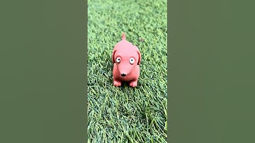 Who let the squishy dog out #shorts #asmr #asmrvideo #asmrsounds #shortsfeed #zayn #fyp #relaxing