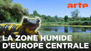 La vallée de la Drave | Au coeur de l’Amazonie européenne | ARTE Family