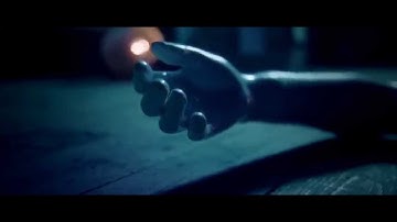 Wallis Bird - Hardly Hardly - Official Video