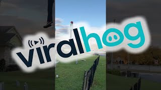 Floating Max Halloween Decoration || ViralHog