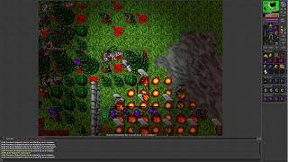 Tibia 7.4 (Hiberna. 117 MS check out Orc Raid in Thais)