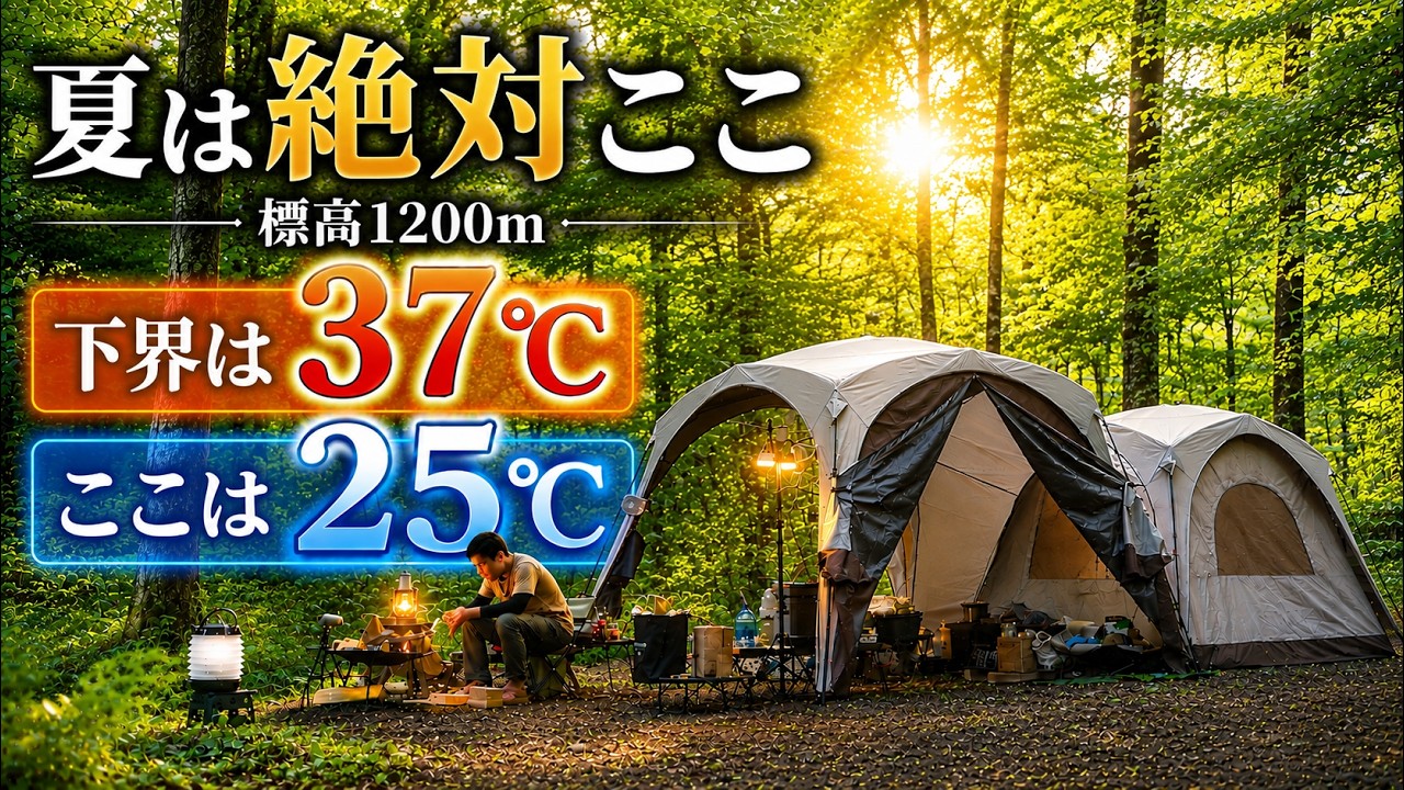 Cozy Forest Camping in Japan | Cool 25°C Summer Escape - YouTube