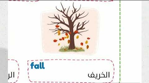 Connect plus 5 | unit 2 lesson 6- 7