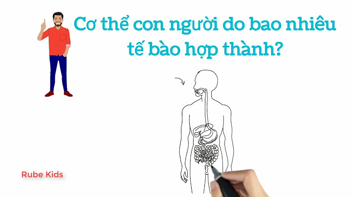 Cơ thể người có bao nhiêu tế bào năm 2024