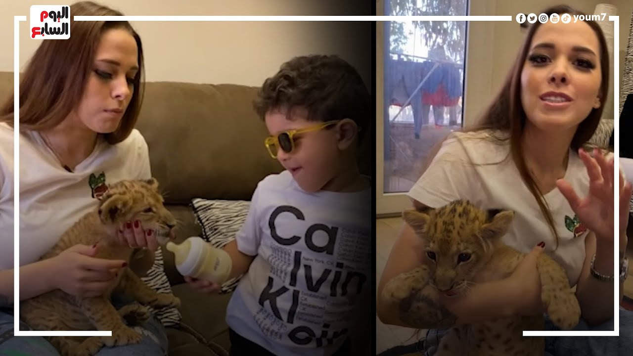تبنت أسد بعد ما  أمه رفضت رضاعته.. أنوسة كوتة بتعتبر الاسد زى ولادها بالظبط