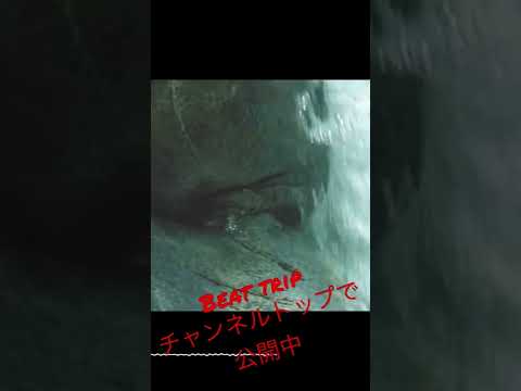 //  Beat trip //  SP404 BEAT LIVE by B.T.Reo 440