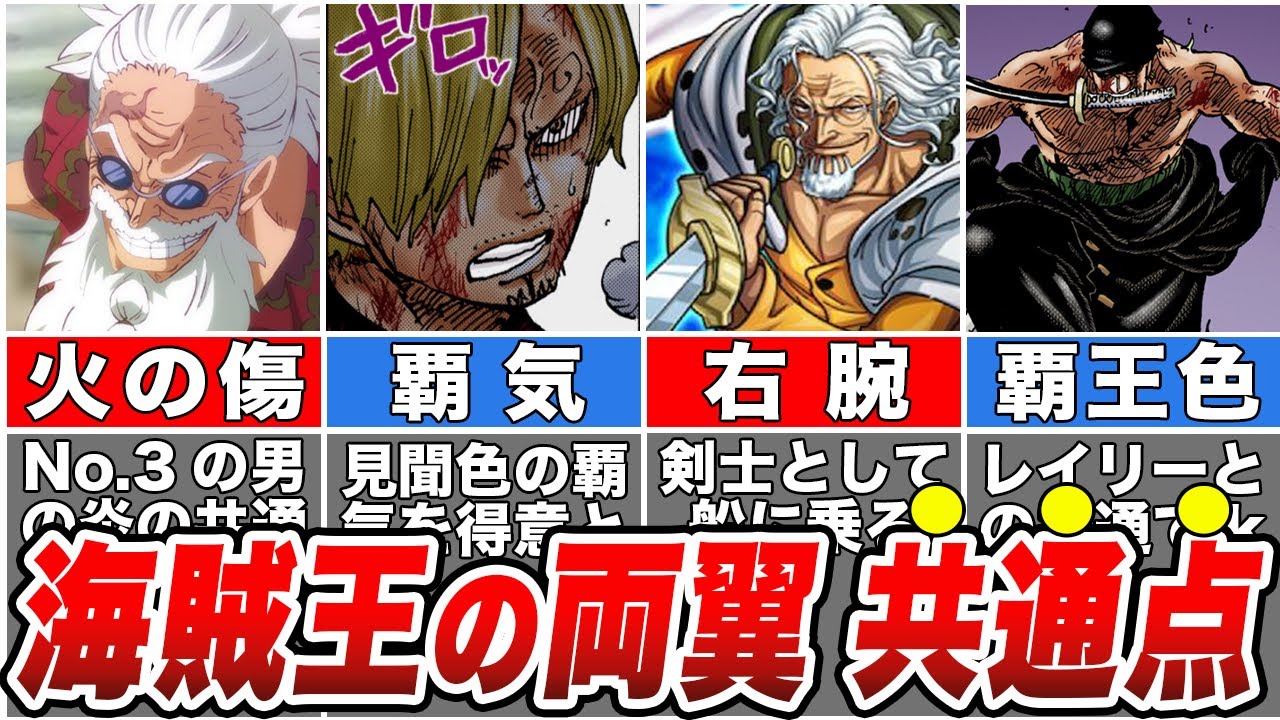 【ワンピース】新旧海賊王の両翼に隠された意外すぎる共通点！【ゆっくり解説】