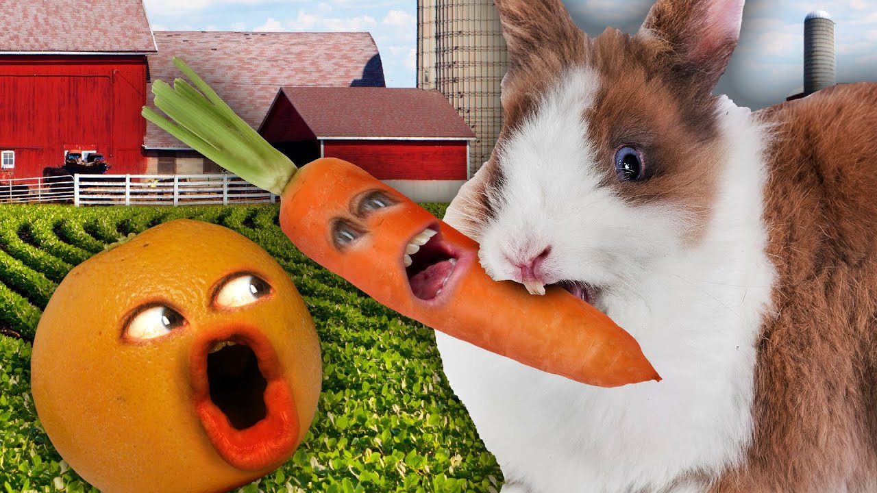Annoying Orange Carrot Supercut! YouTube