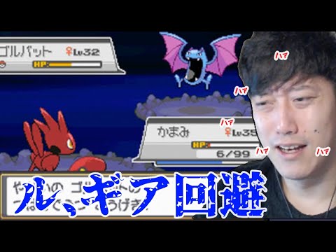 通信進化までしてもらった「かまみ」が慢心により４にかけ、過呼吸になる布団ちゃん　2022/04/30