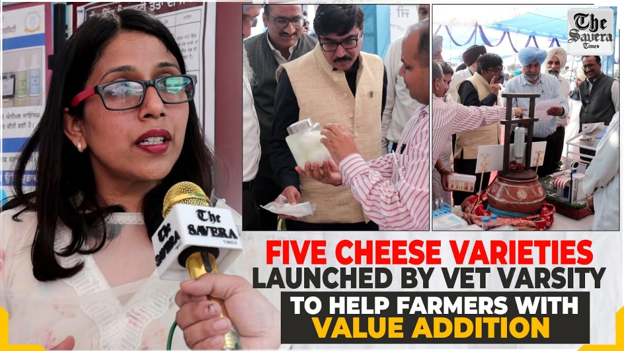 Five cheese varieties launched by vet varsity to help farmers with