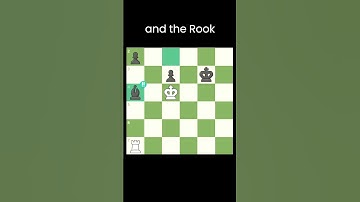 Crucial Bishop Endgame Strategy! Chess