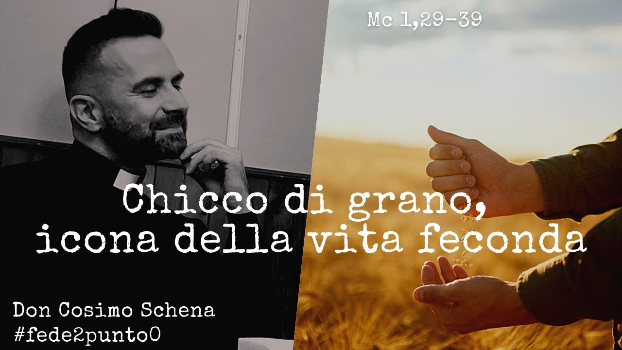 Il seme che muore porta frutto. Commento al Vangelo della V domenica di