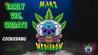 Early Veg CookieDawg update! A lot has changed for some and not the rest. Dr. Earths, 2x2 Grow