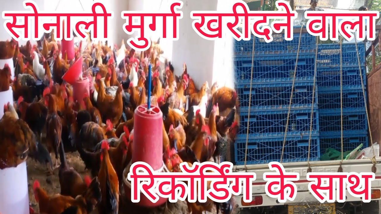 मिलिए सोनाली डीलर के साथ क्या रेट में खरीद रहे देख लो