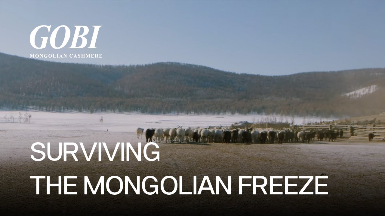 Surviving the Mongolian freeze: A glimpse into living in the Mongolian winter as a nomad.