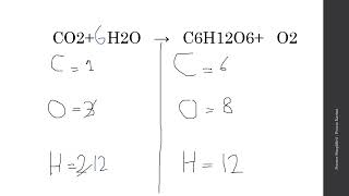 Mastering the Photosynthesis Equation: Simplified Breakdown & Step-by-Step Guide