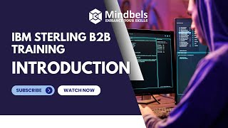 Introduction to IBM Sterling B2B | Online Training Overview