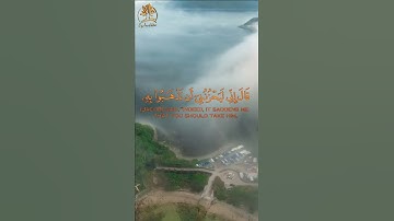 تلاوة مباركة بصوت القارئ  رزكار محمد الكردي